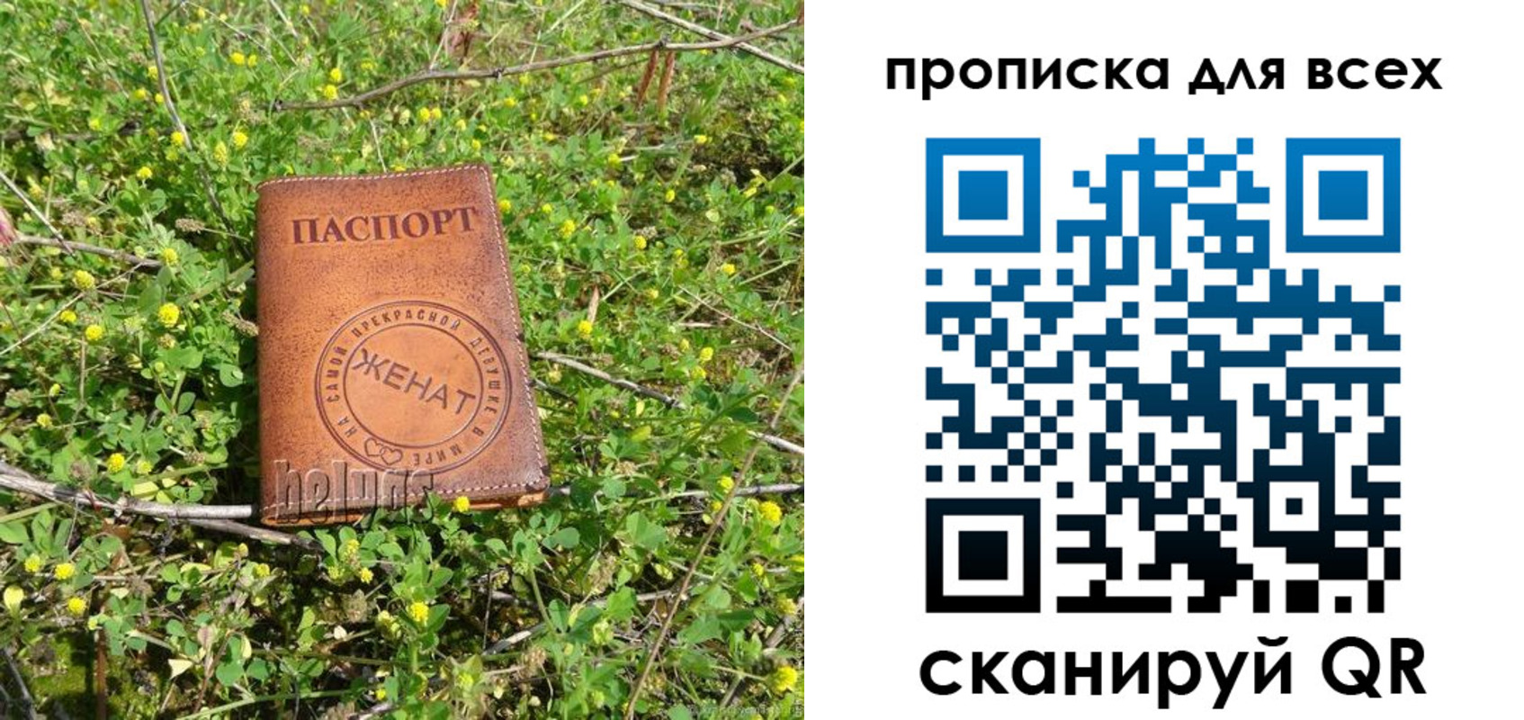 прописка поиск в Дагестанских Огнях